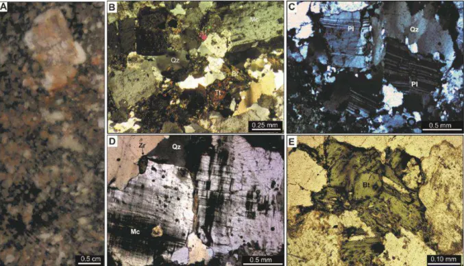 Fig.  5.    (A).  Aspecto  mesoscópico  da  fácies  1  do  Granito  Santa  Helena.  (B,  C)