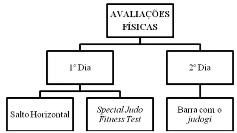 Figura 4  – Ilustração da distribuição dos testes físicos. 