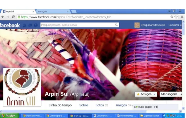 Figura 8 – Foto da capa do perfil no facebook da organização Arpinsul. 