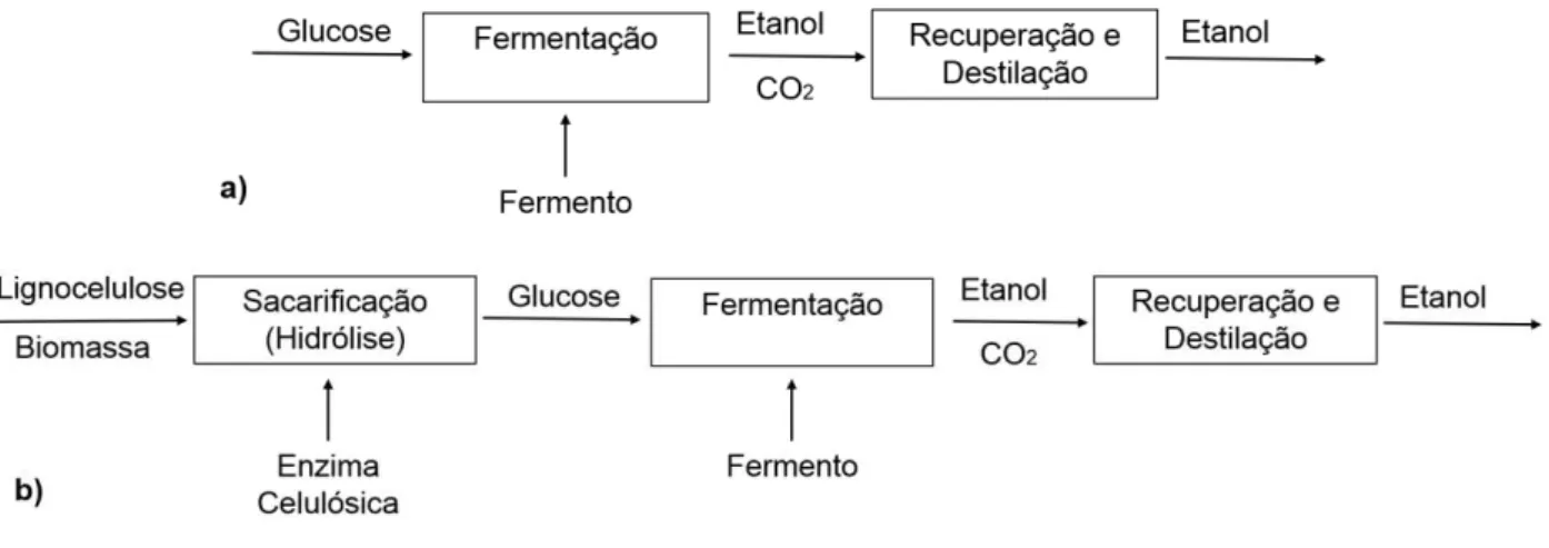 Figura 19 - Etapas da produção de etanol de primeira (a) e segunda (b) gerações. 