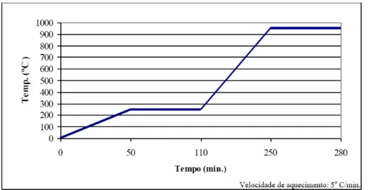 Figura 9 Ciclo térmico de expansão do revestimento e eliminação da cera para fundição