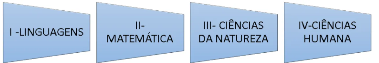 Figura 9: Organização do currículo do Ensino Médio em 4 (quatro) áreas do conhecimento 