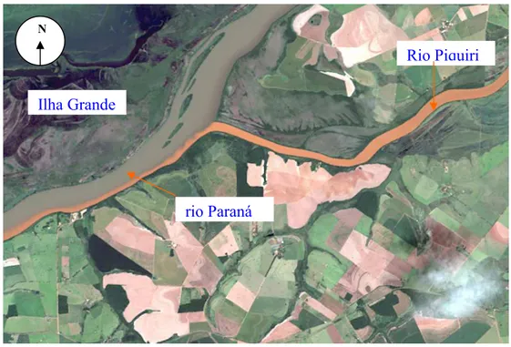 Figura 12: Localização da área de confluência do rio Piquiri   PR com o rio Paraná,     Fonte: 