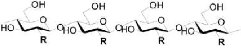 Figura 4  –  Estrutura química da celulose (R = OH), quitina (R = NHCOCH3), e quitosana (R =  NH 2 )