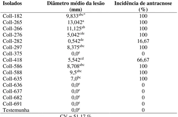 Tabela 4 – Diâmetro médio da lesão de isolados de Colletotrichum e incidência de antracnose  em jiló aos sete dias após inoculação dos isolados de Colletotrichum da Coleção Micológica  do CNPH