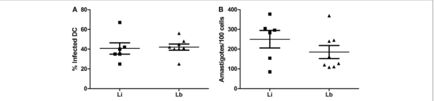 FigUre 1 | Dendritic cells’ infection by L. infantum (li) or L. braziliensis (lb) – immature Dcs were infected in a rate of 10 Leishmania to 1 Dc