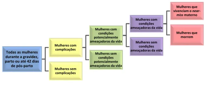 Figura 2  – A população obstétrica. Traduzido de Say et al (2009). 