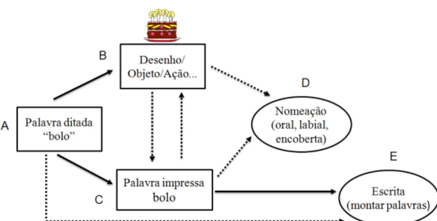 Figura  1.  Diagrama  esquemático  da  rede  de  relações  envolvidas  na  leitura  e  escrita  (adaptação do diagrama de Stromer et al., 1992)
