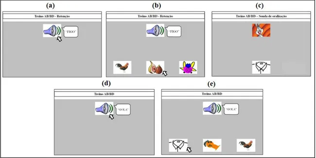 Figura 5. Representação da tela do monitor: (a) e (b) tentativa de retenção do Ciclo 1; 