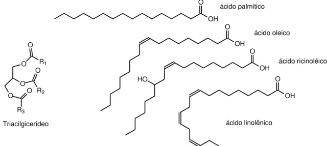 Figura 9: Estrutura básica do triacilglicerídeo e alguns ácidos graxos. 