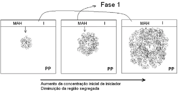 Figura 23 - Segregação devido à baixa concentração de iniciador no meio. Quanto maior a  quantidade de iniciador, menor o tamanho da região segregada