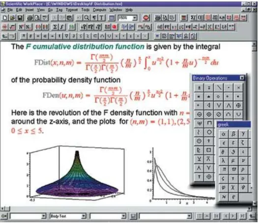 Figure 30. A ScientificWorkPlace window in which mathematics is written, calculations are made  and functions are ploted