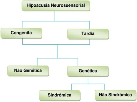 Figura 2.17 - Tipos de Hipoacusia Neurossensorial de acordo com o período de ocorrência