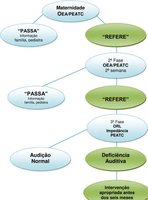 Figura 2.1 - Esquema de Organização do RANU.  