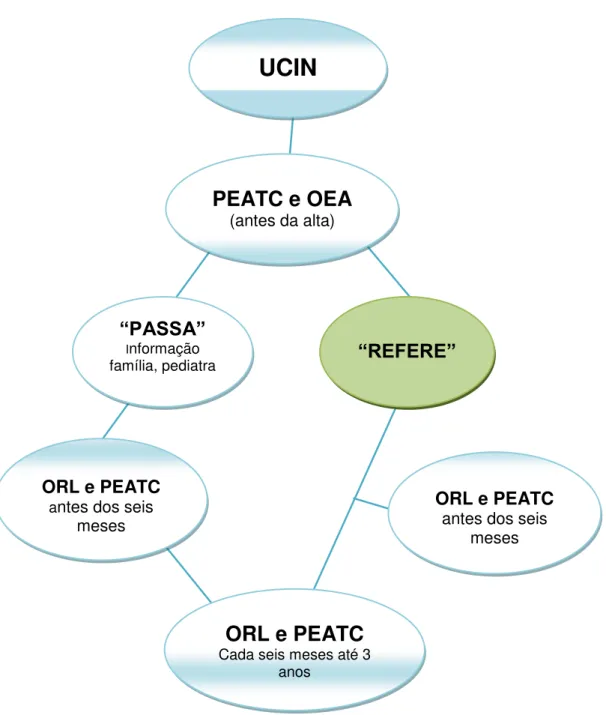 Figura 2.2 - Esquema de organização do RANU – Alto Risco. 