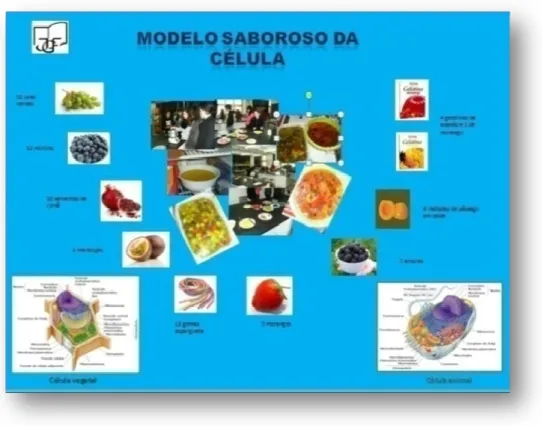 Fig. 4. 7: Cartaz elaborado para a Futurália 