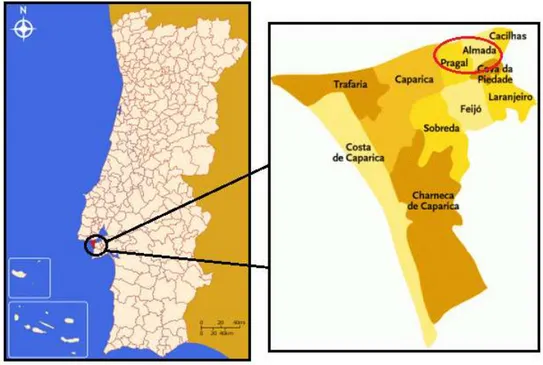 Figura 3.2 Localização do concelho e freguesias de Almada (Fonte: Wikipédia) 