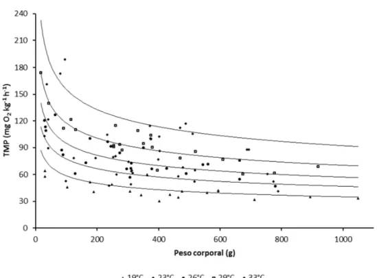 Figura 3.1  Taxa  metabólica  padrão  (TMP)  massa  específica  do  pacu  em  função  do  peso  corporal e temperatura da água: TMP =42,765×P g