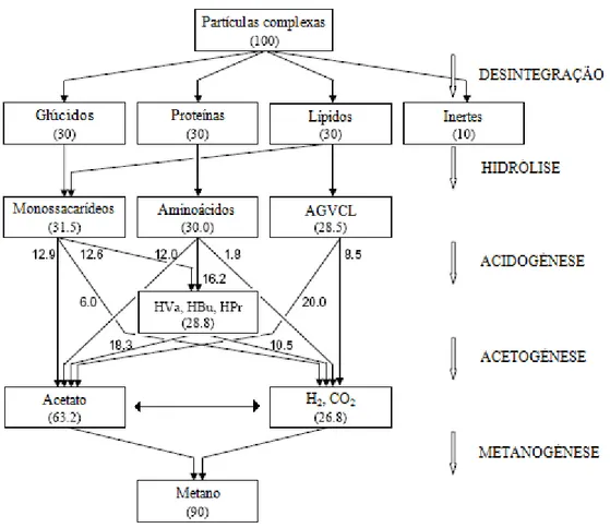 Figura 2.1- Fluxo de carbono no processo de digestão anaeróbia (% CQO); HVa: valerato; HBu: 