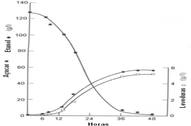 Figura 2.12- Produção de Etanol por leveduras num processo descontínuo 