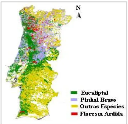 Figura 2.2- Distribuição da área florestal em Portugal Continental (DGRF, 2001) 