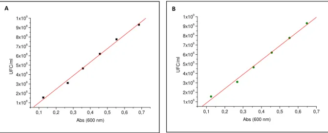 Fig. 3.5 ‐ Rectas de calibração para L. monocytogenes 3001 (A) e P. aeruginosa PAO1 (B) em meio de cultura  TSB. 