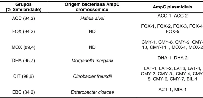 Tabela  2.  Origem  de  AmpC    Cromossômicas  e  Plasmidiais  e  taxa  de  similiraridade  dos  diferentes grupos a  que pertencem