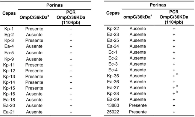 Tabela 9. Avaliação da presença ou ausência da proteína de membrana externa OMP de  36kDa