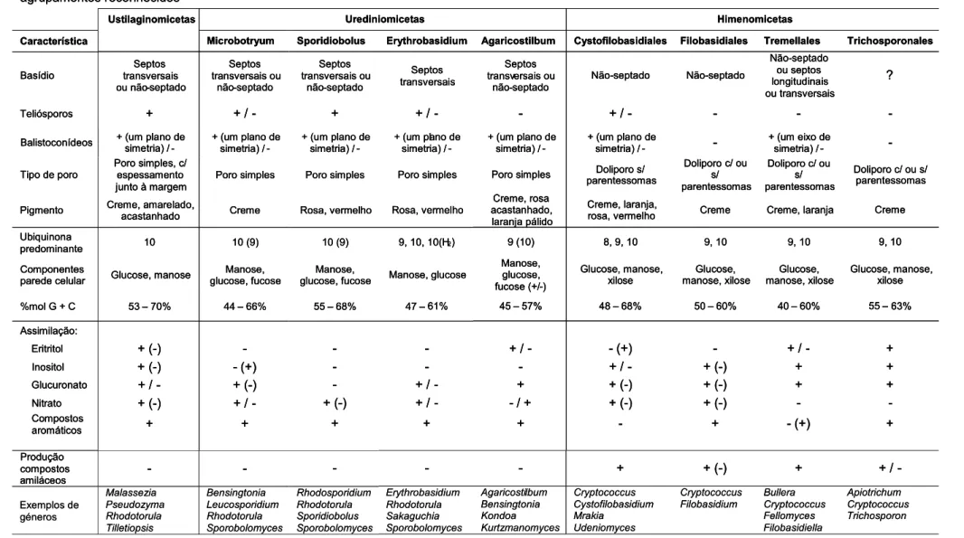 Tabela 3.2. Características discriminantes das leveduras basidiomicetas das classes Ustilaginomicetas, Urediniomicetas e Himenomicetas, e respectivos  agrupamentos reconhecidos