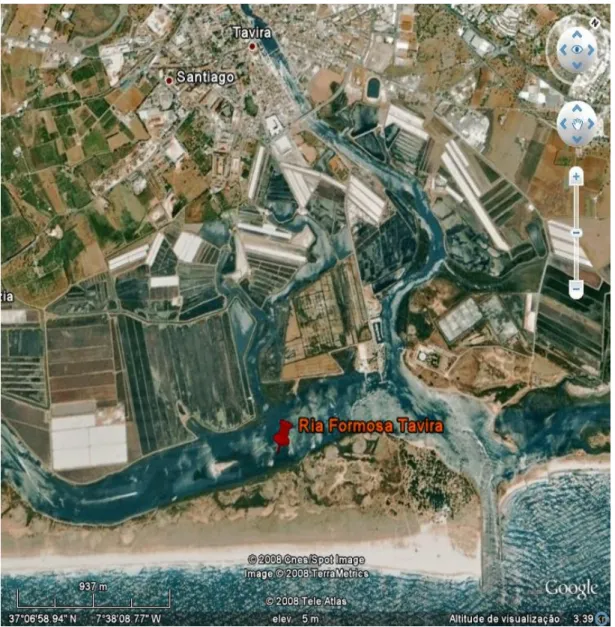 Figura 3.6. Localização da zona de amostragem - (Fuzeta) – Reserva da Ria Formosa. Imagem  extraída do Google Earth