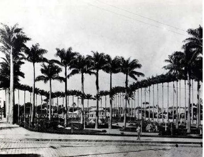 Figura 2 - Antigo Largo do Lixo, após receber paisagismo, marcado pelo plantio de palmeiras imperiais, no ano de  1915