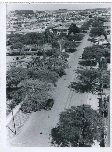 Figura 5 - Av. Júlio de Mesquita, 24 de novembro de 1953. Nota-se a preocupação estética e ambiental  na arborização de uma via ampla