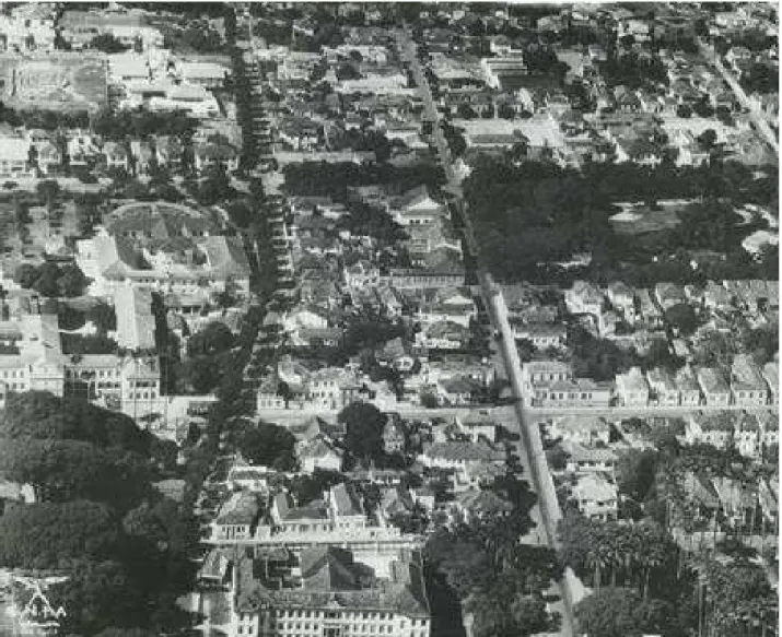 Figura 10 - Imagem aérea do Bairro Cambuí na década de 1950 mostrando sua ocupação, composta  principalmente por casas e a privilegiada presença arbórea