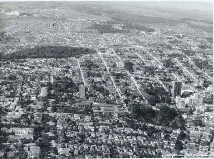 Figura 11 - Imagem, dos anos de 1950. Avista-se o Bosque dos Jequitibás, no canto superior à esquerda  e o Bairro Cambuí, com vias, casas com quintais e praças arborizadas; a verticalização ainda  era esparsa