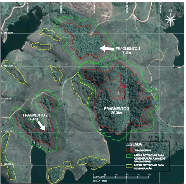 Figura 6  – Mapa geral do potencial de regeneração natural da área do Projeto Cachoeira