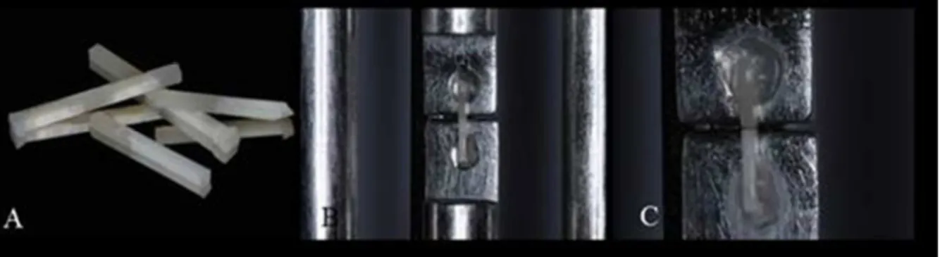 Figura 10 – Teste de microtração.  A – palitos obtidos após seccionamento; B – palito posicionado  no dispositivo de tração; C – palito após a ruptura da interface adesiva 