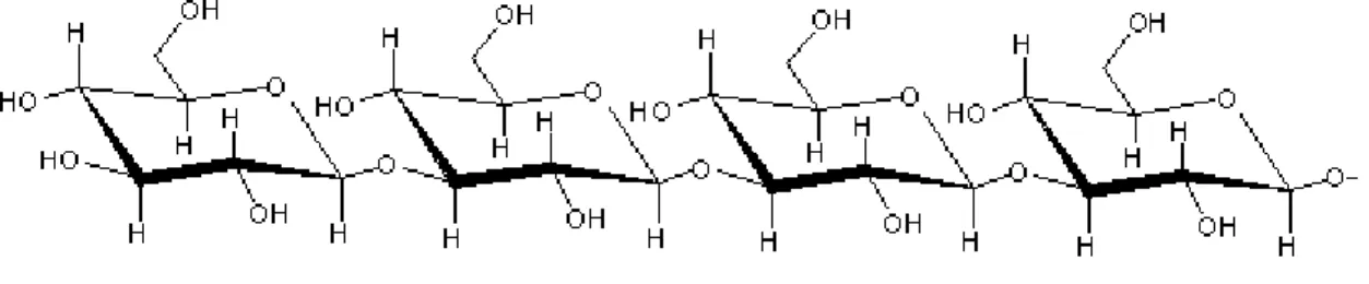 Figura 3.1 – Polímero linear de moléculas de D(glicose unidas entre si por ligações glicosídicas β(1,4  (UFP, 2011) 