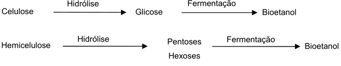 Figura 3.5 – Processos globais de hidrólise e fermentação de celulose e hemicelulose 