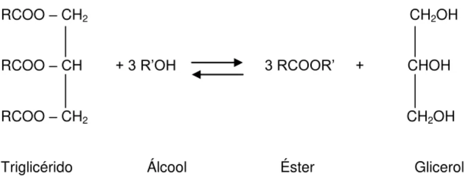 Figura 1.3. Exemplo da transesterificação de um triglicérido por um álcool. 