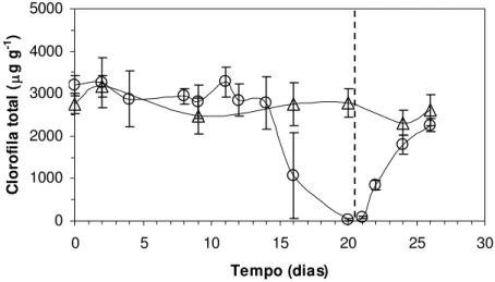 Figura 4 - Conteúdo de clorofila total (µg g -1 ) em Pleurostima purpurea em função do tempo de suspensão da  irrigação e reidratação