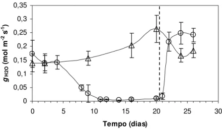 Figura 11 - Condutância estomática ao vapor d’água (g H2O , mol m -2   s -1 ) em Pleurostima purpurea em função do  tempo de suspensão da irrigação e reidratação