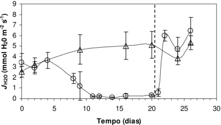 Figura 15 - Fluxo transpiratório (J H2O , mmol H 2 O m -2   s -1 ) em Pleurostima purpurea em função do tempo de  suspensão da irrigação e reidratação