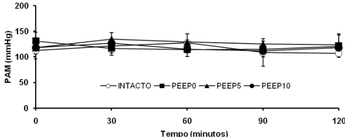 Figura 7. Pressão arterial média (PAM) durante o período de estudo nos  grupos INTACTO, PEEP0, PEEP5 e PEEP10