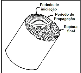 Figura 3.2 – Representação esquemática da superfície de fratura por fadiga em um  aço  (41) 