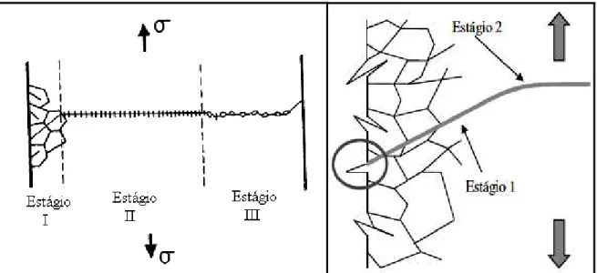 Figura 3.9 – Estágios I, II e III da propagação de trinca em fadiga  (adaptado de 48) 