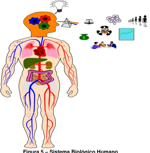 Figura 5 – Sistema Biológico Humano 