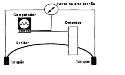 Figura 1. Representação esquemática de um equipamento de CE. Fonte: ALTRIA, K.D.; FABRE, H.,  1995
