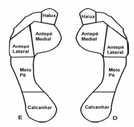 Figura 2 – Regiões plantares avaliadas nos testes de sensibilidade 