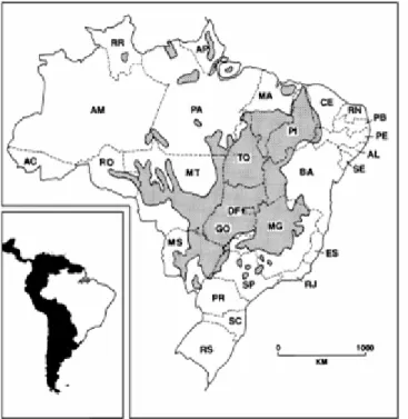 Figura 1: Área de ocorrência do bioma Cerrado no Brasil. Fonte: Ratter et al. (1997). 