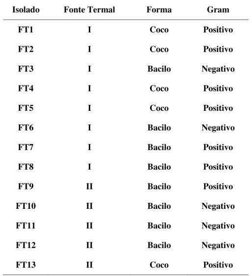 Tabela 2. Caracterização das bactérias isoladas da água das fontes termais I e II quanto  à forma e a resposta a coloração de Gram